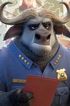 Bild-Vorlage