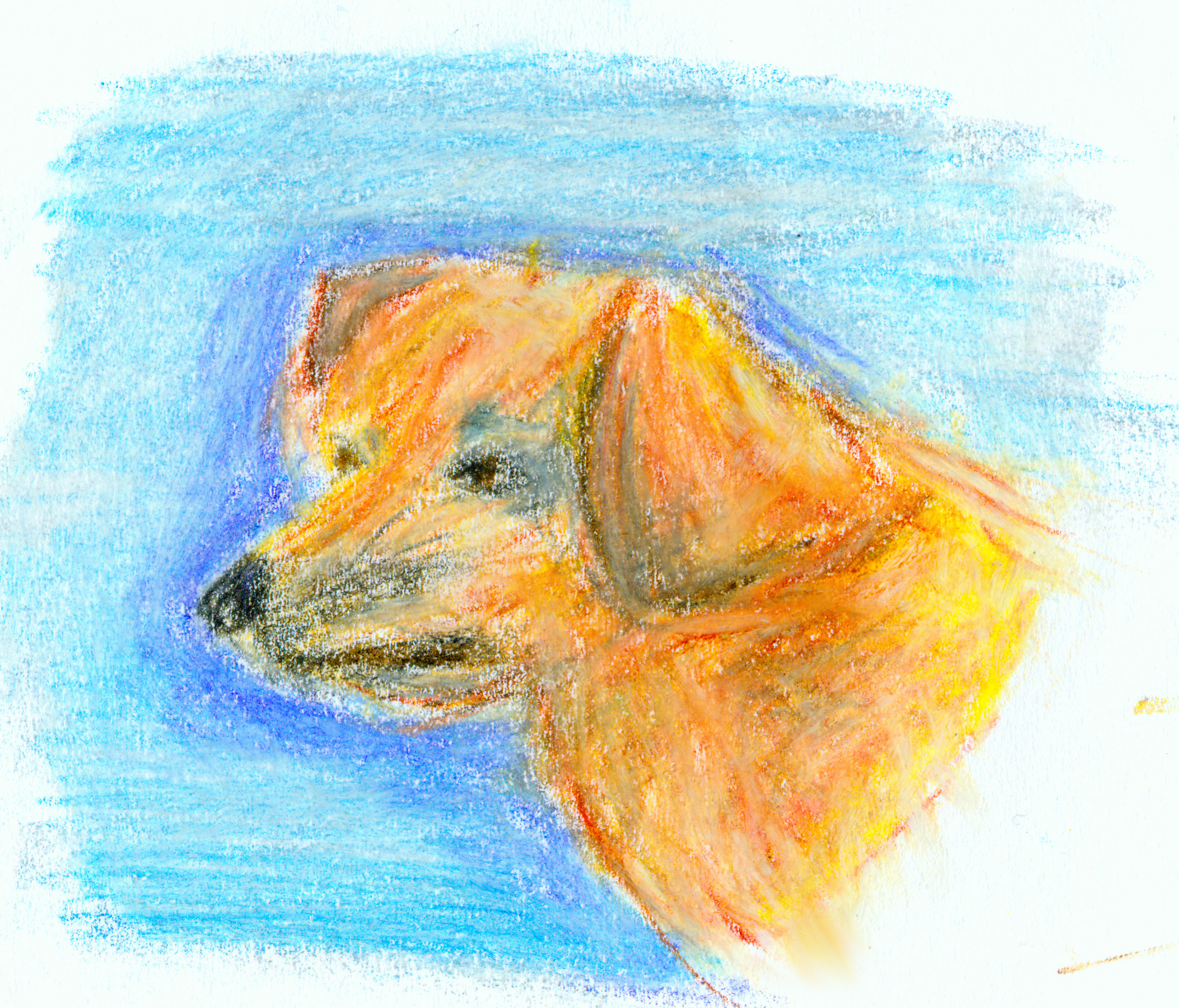 Fanart2