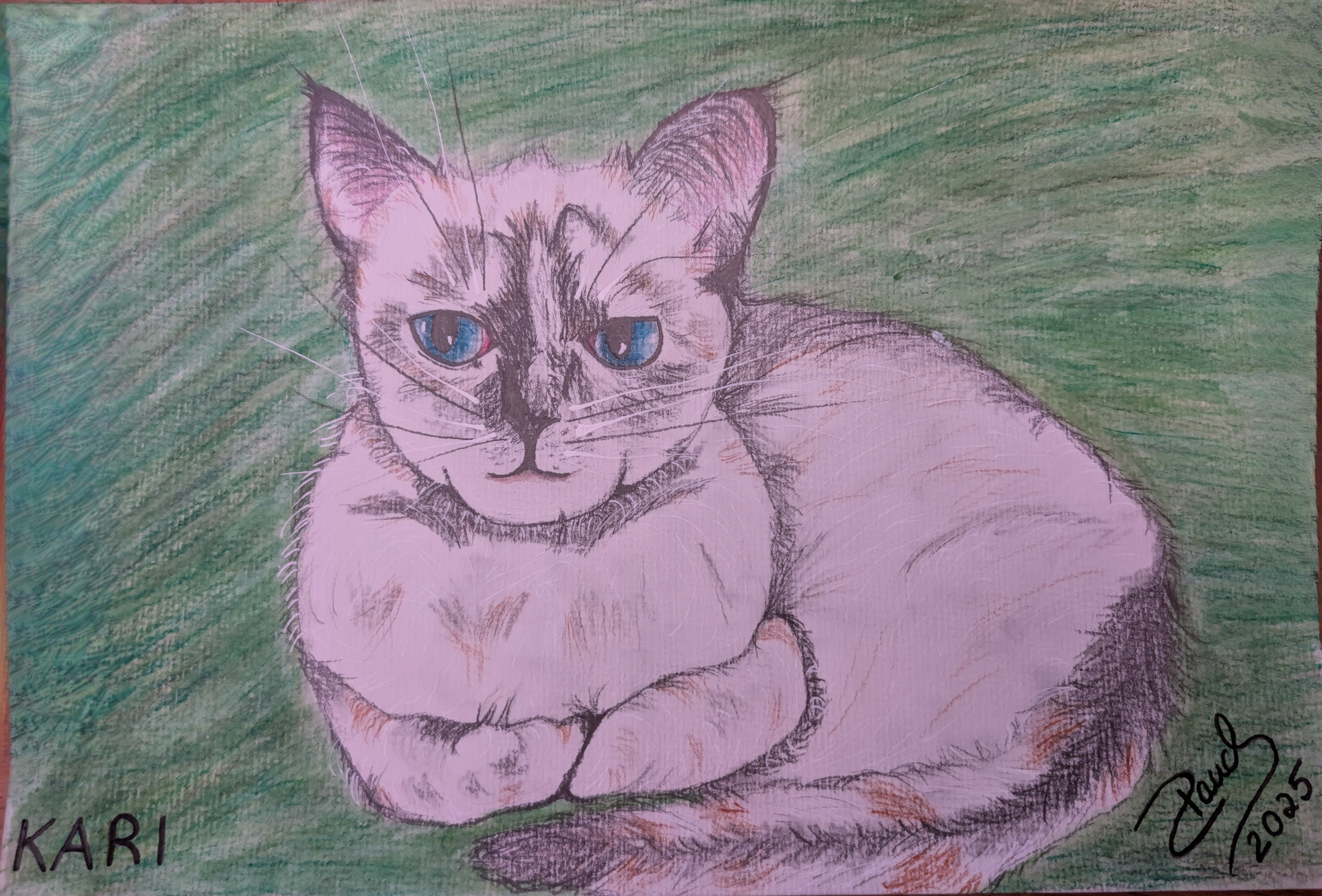 Fanart2