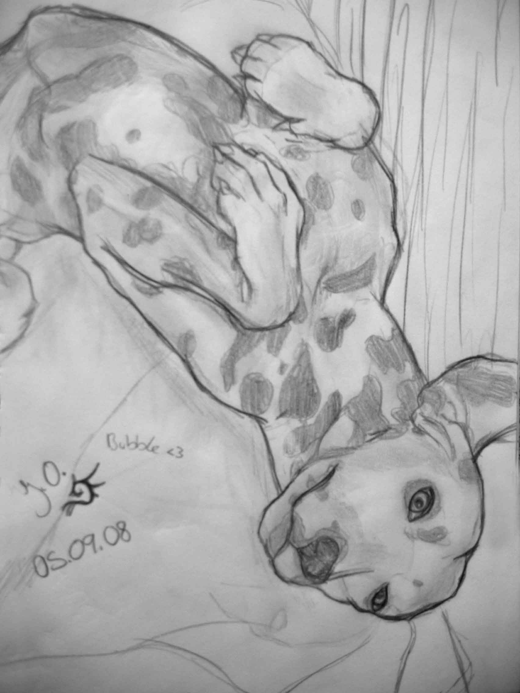 Fanart2