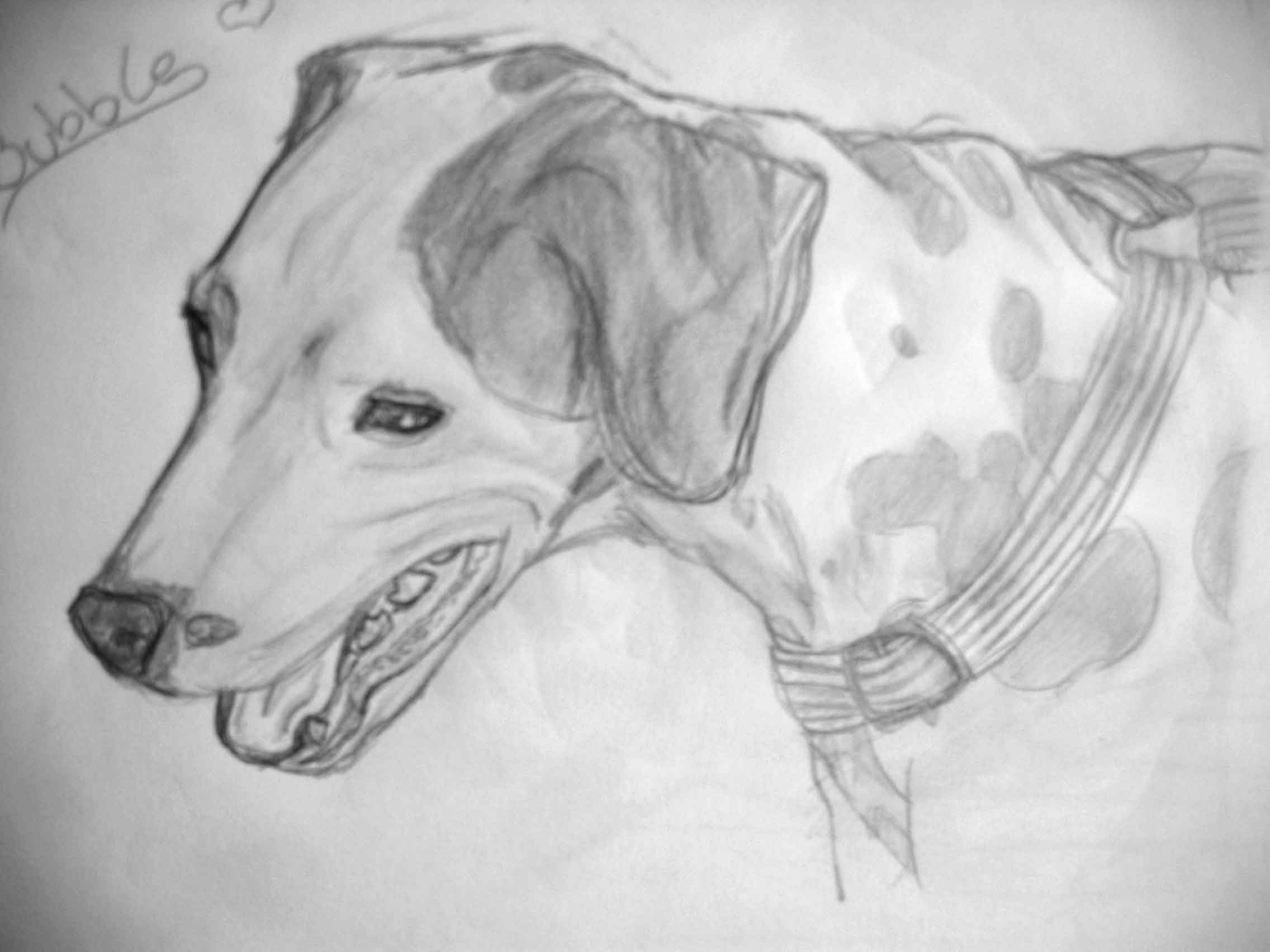Fanart2