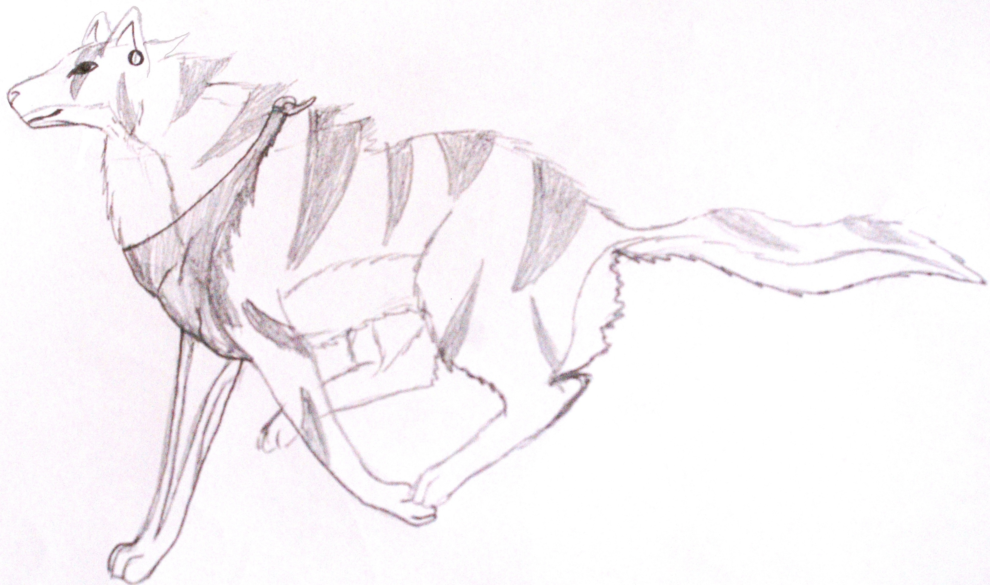 Fanart2