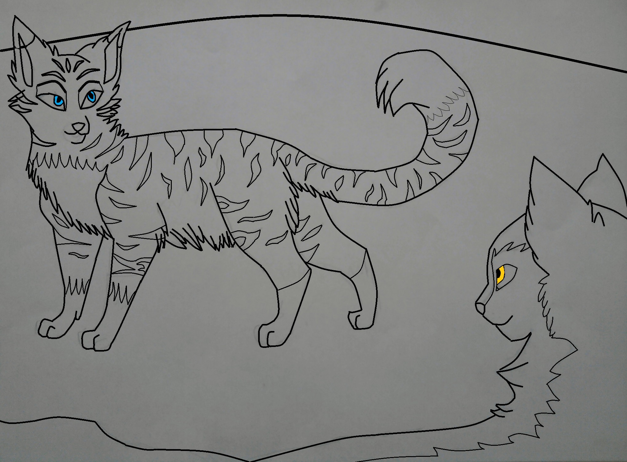 Fanart2