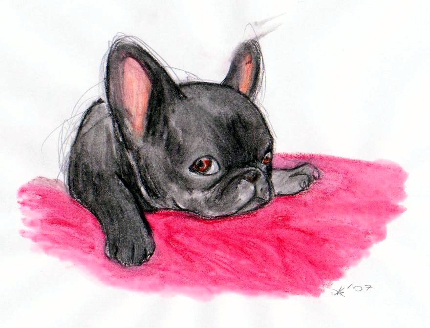 Fanart2
