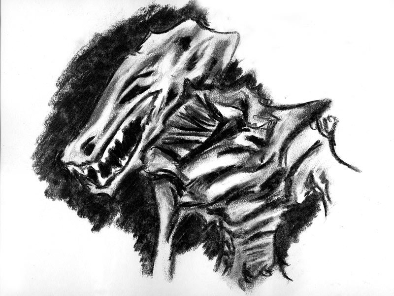 Fanart2