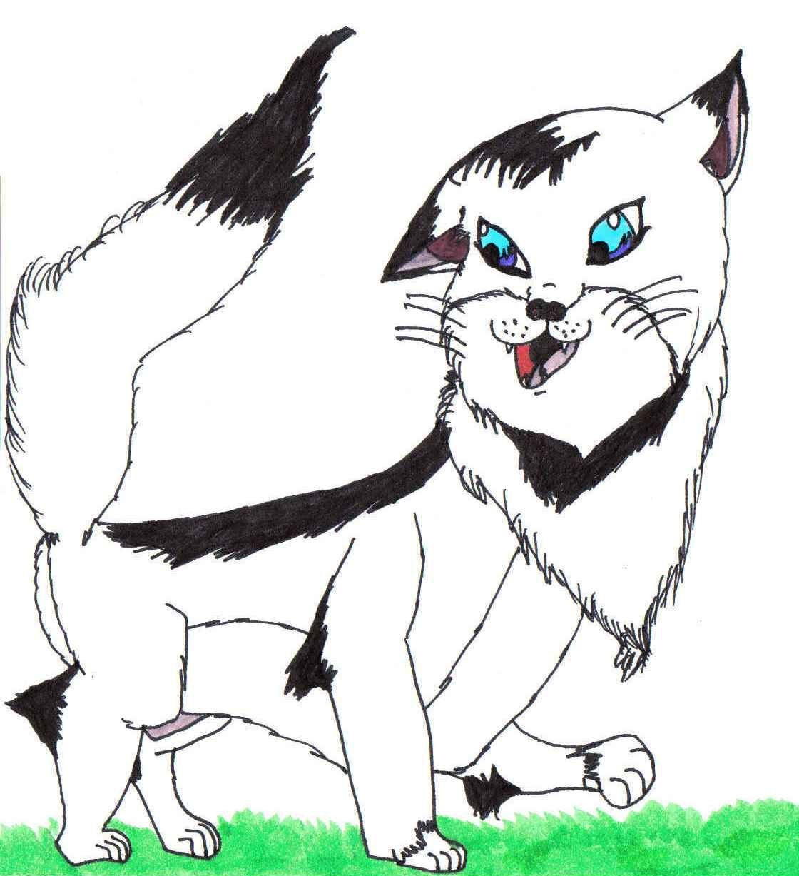 Fanart2