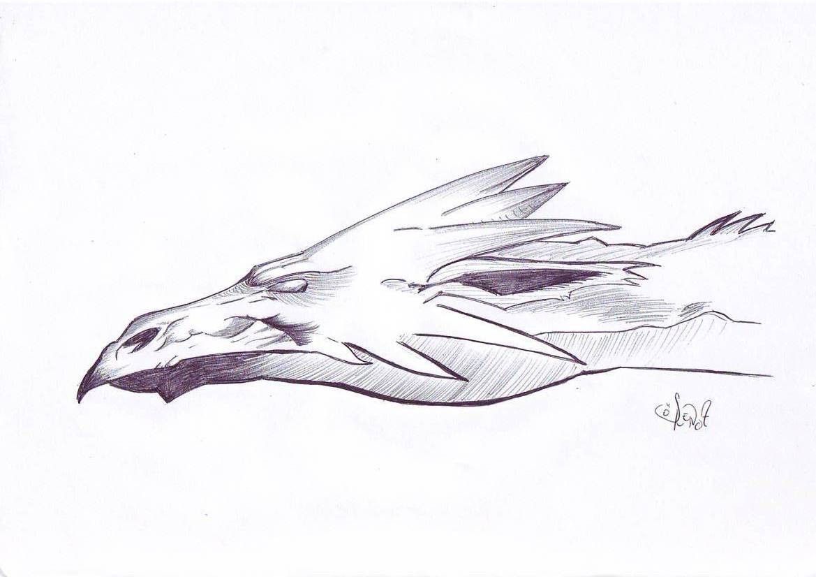 Fanart2