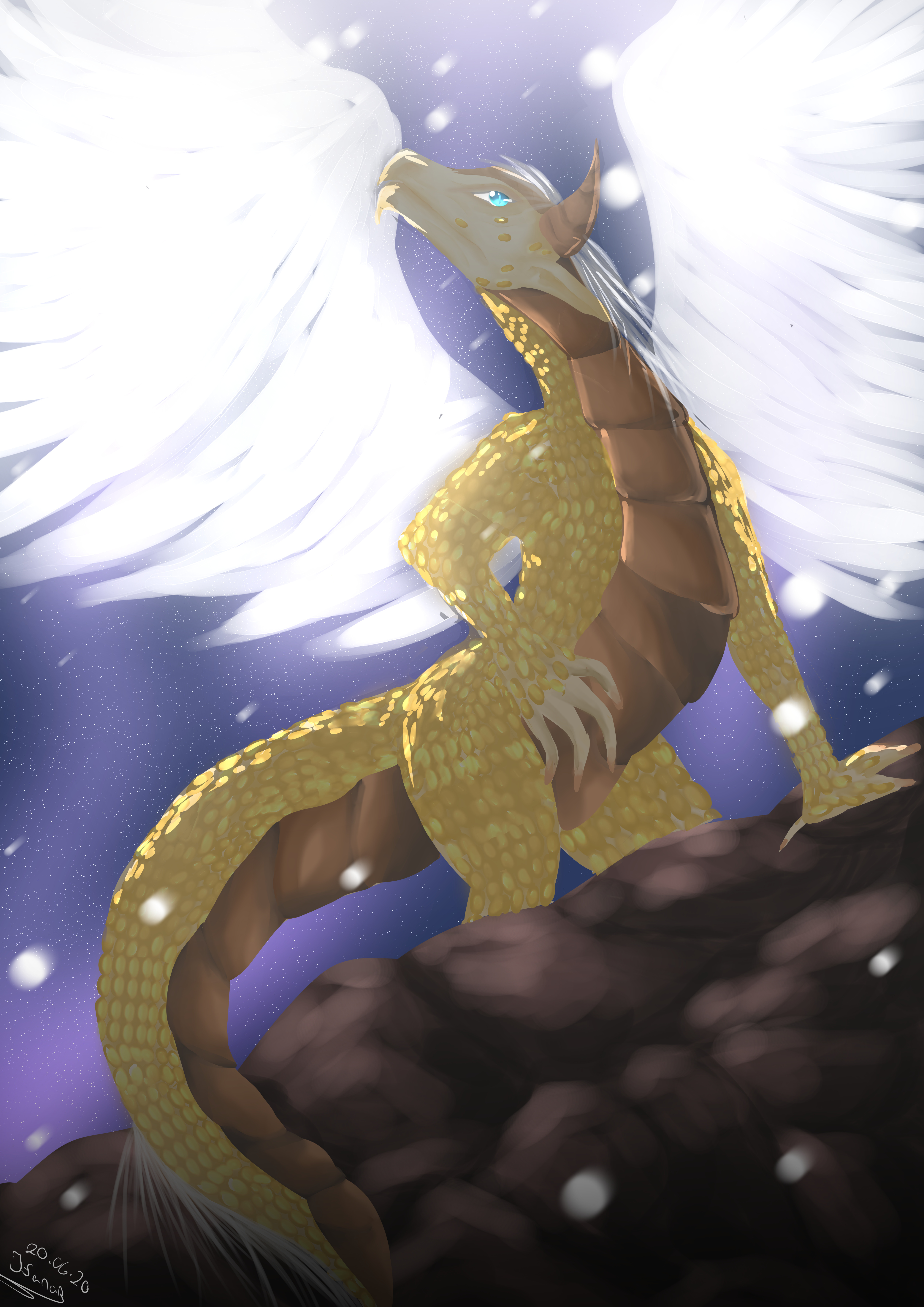 Fanart2