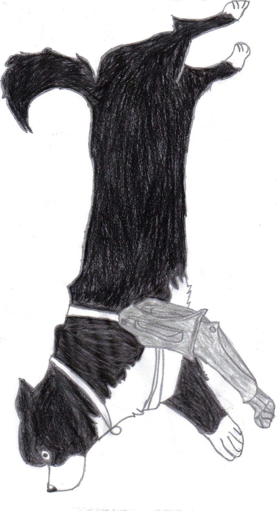 Fanart2
