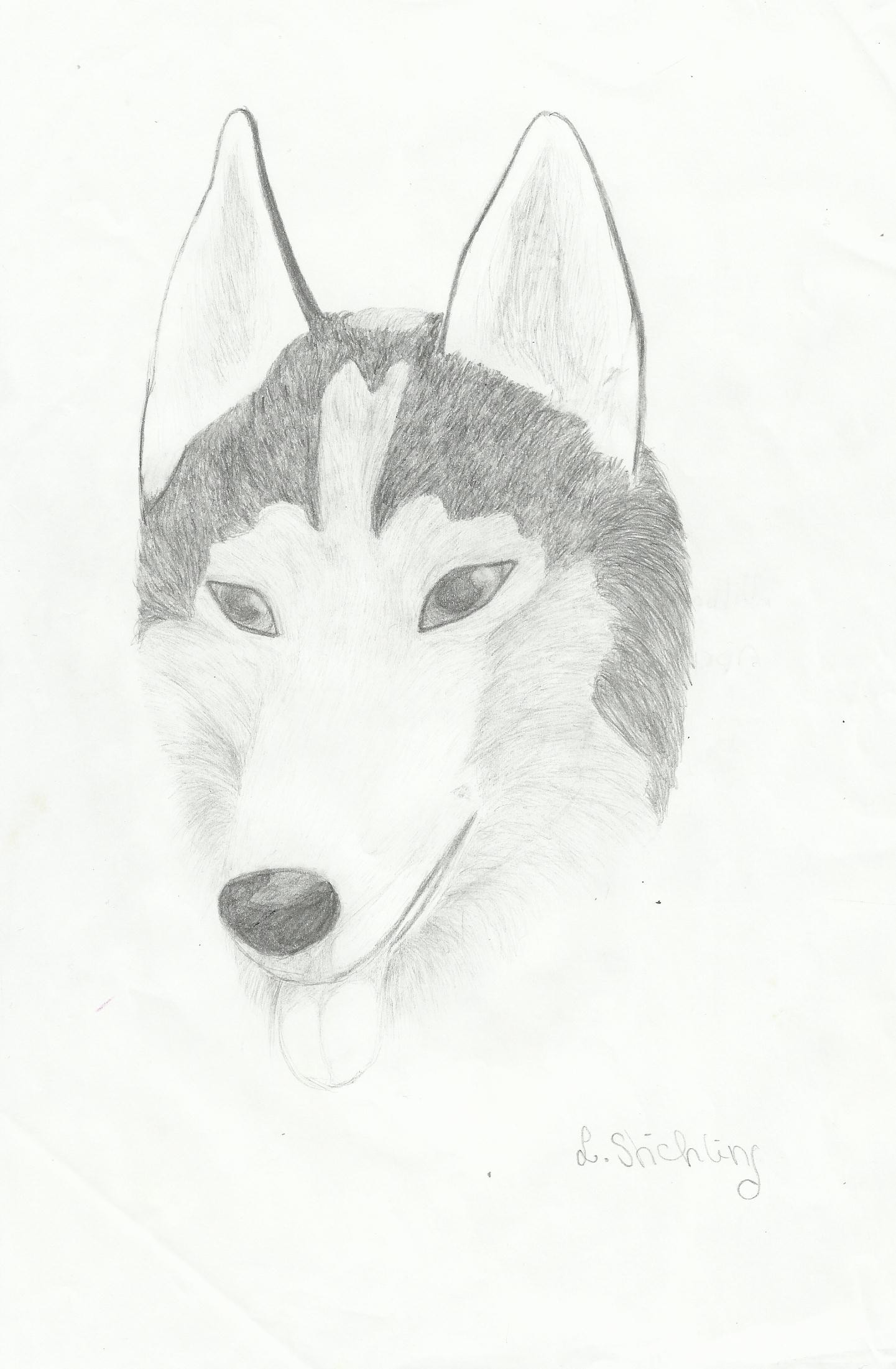 Fanart2