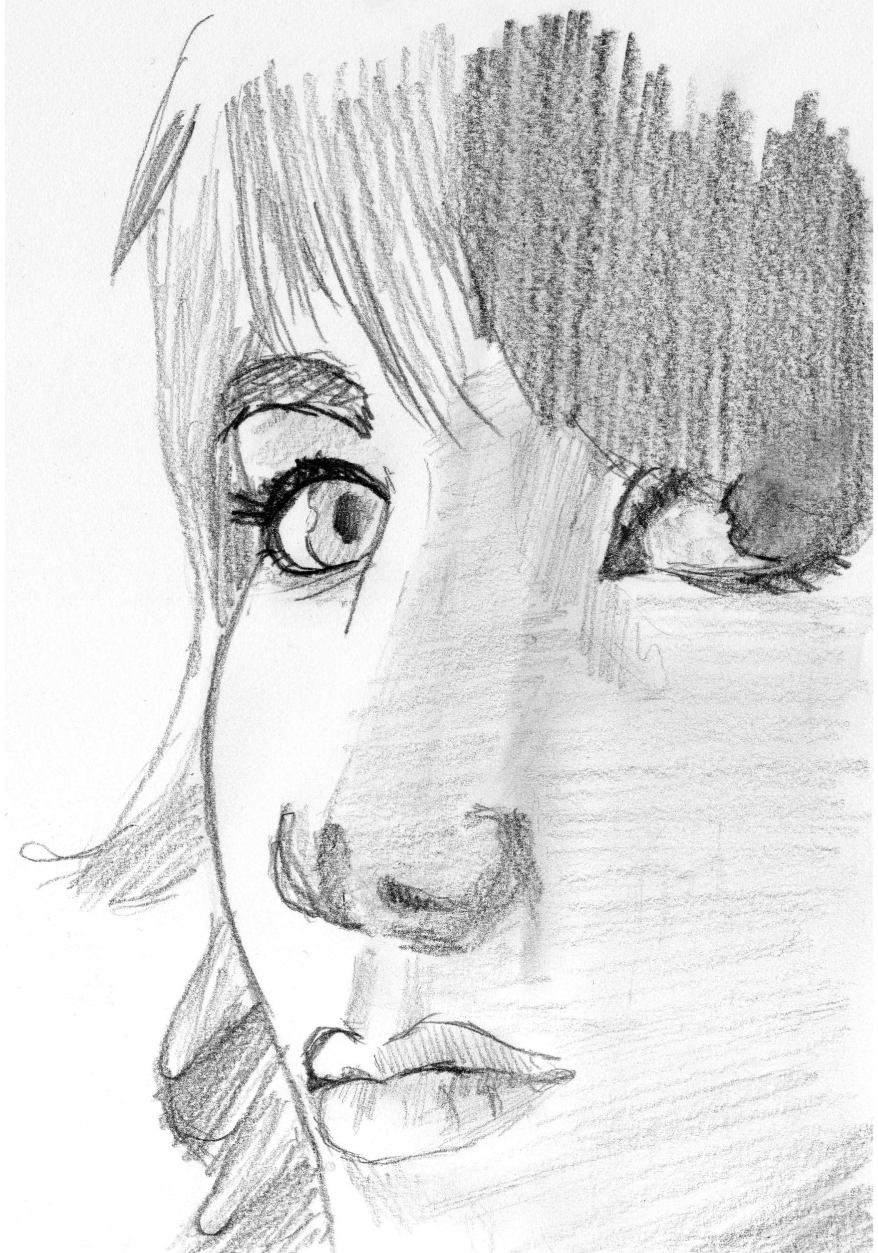 Fanart2