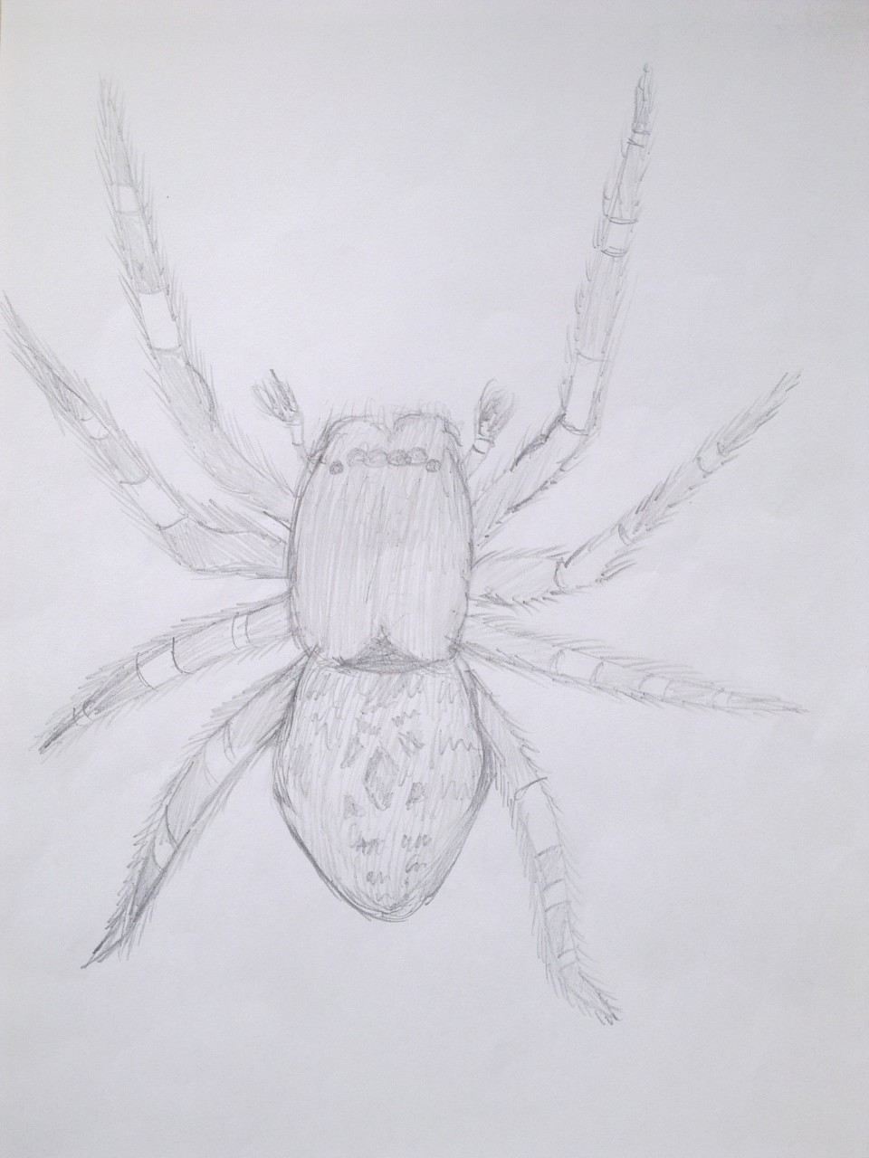 Fanart2
