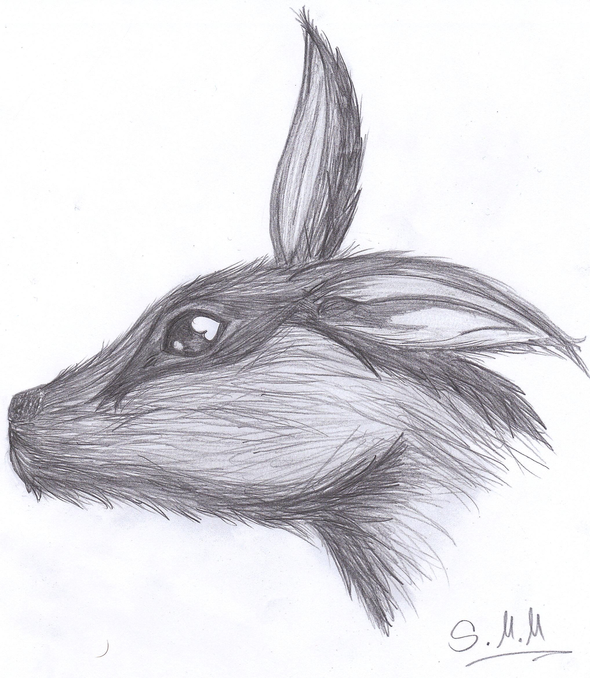 Fanart2