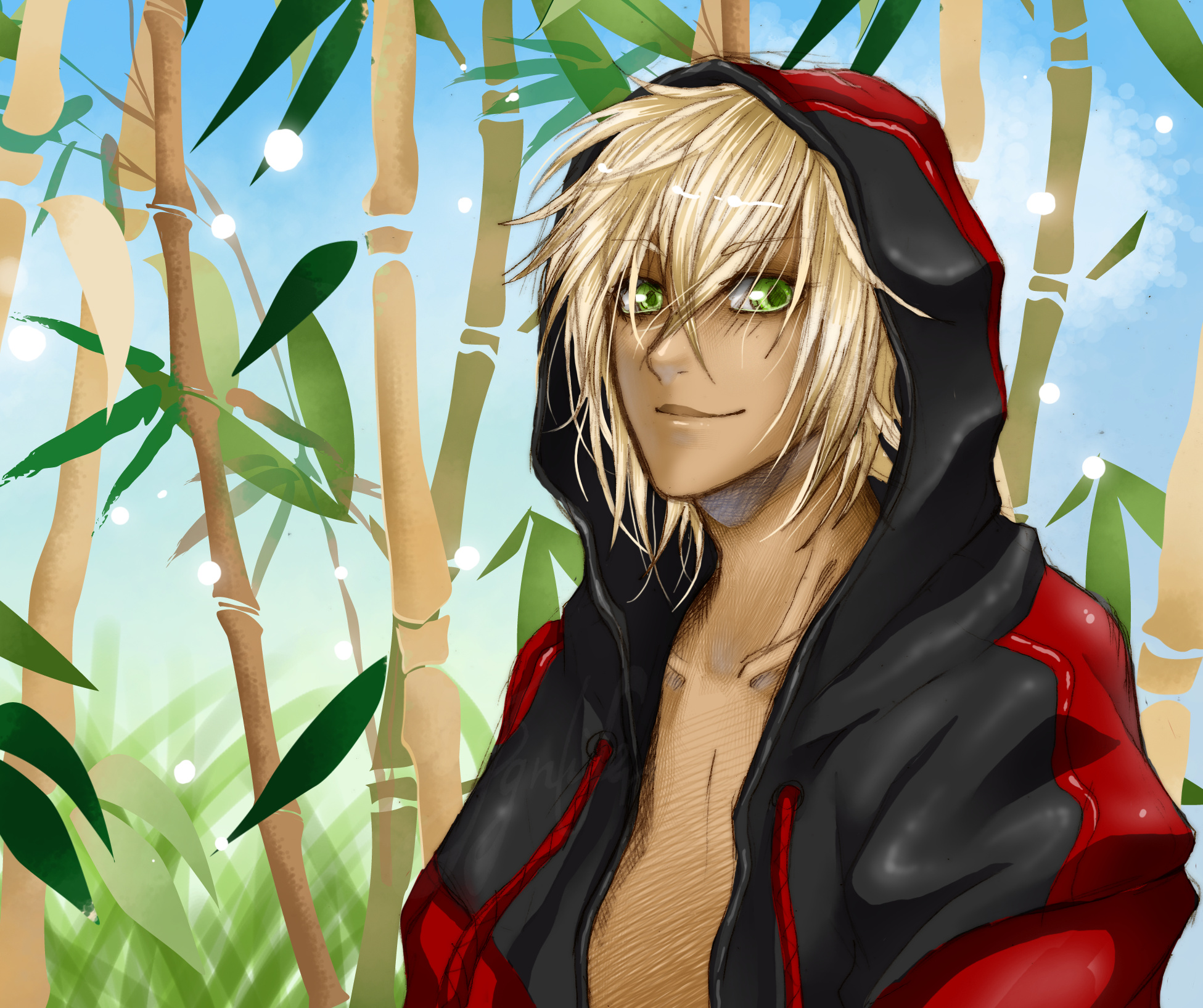 Fanart2