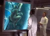 Originalcharakter