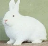 Originalcharakter