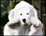 Cosplay-Cover: Akamaru (shippuden/normal xDD wie man es halt nimm