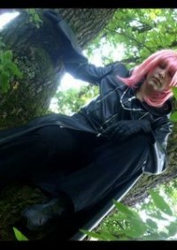 Cosplay-Cover: Marluxia [ ORG XIII ]