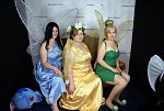 Cosplay-Cover: Silvermist [Tinkerbell]