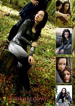 Cosplay-Cover: Bella Cullen - Promo family shoot (Breaking Dawn)