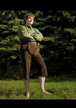 Cosplay-Cover: Frodo (Version Auenland - Grünes Hemd)
