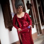 Cosplay: Fairy Godmother /Red Dress