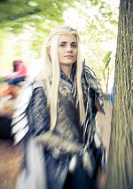 Cosplay-Cover: Thranduil (Armor)