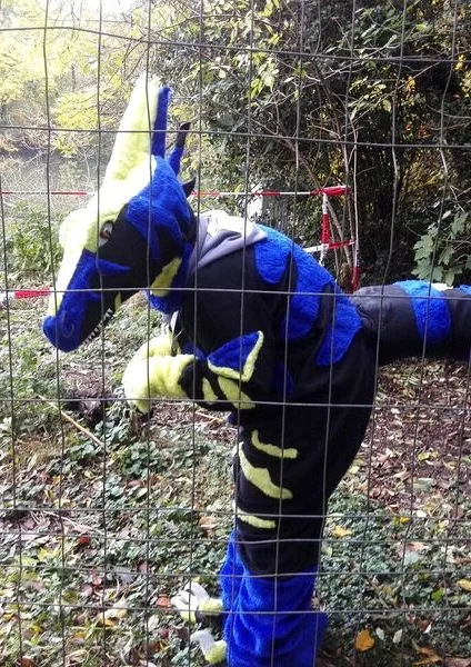 Cosplay-Cover: Blue The raptor