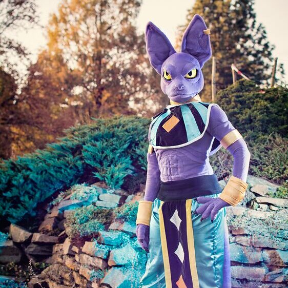 Cosplay: Lord Bills (Beerus)