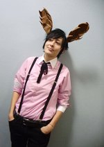 Cosplay-Cover: Shishio Satsuki - Official Art/Stag