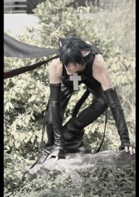 Cosplay-Cover: Ikuto Tsukiyomi [Black Lynx]