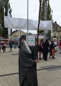 Cosplay-Cover: Gandalf