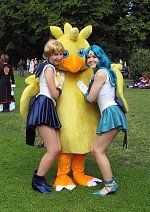 Cosplay-Cover: Chocobo