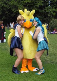 Cosplay-Cover: Chocobo