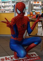 Cosplay-Cover: Ultimate Spider-Man