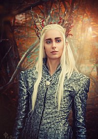 Cosplay-Cover: Thranduil