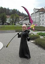 Cosplay-Cover: Marluxia