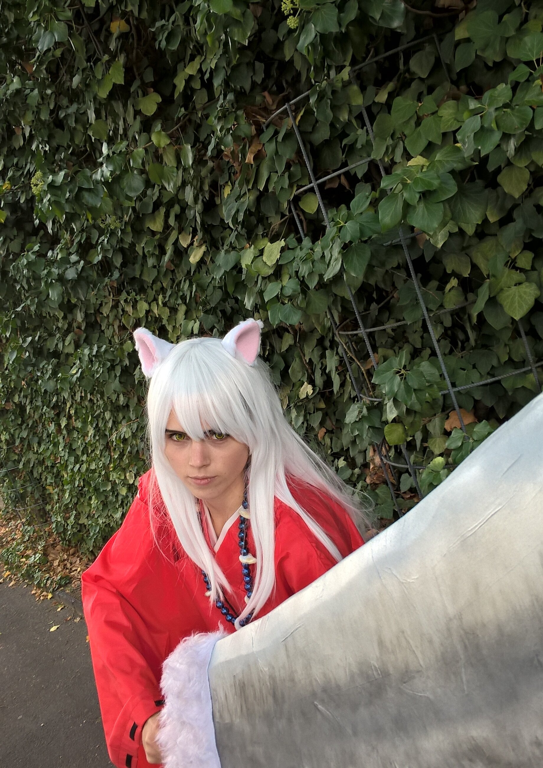 Cosplay-Cover: Inu yasha