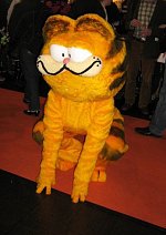 Cosplay-Cover: Garfield