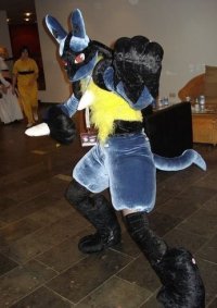 Cosplay-Cover: Lucario