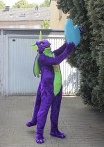 Cosplay-Cover: Spike