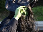 Cosplay-Cover: Elphaba (EC)