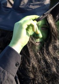 Cosplay-Cover: Elphaba (EC)