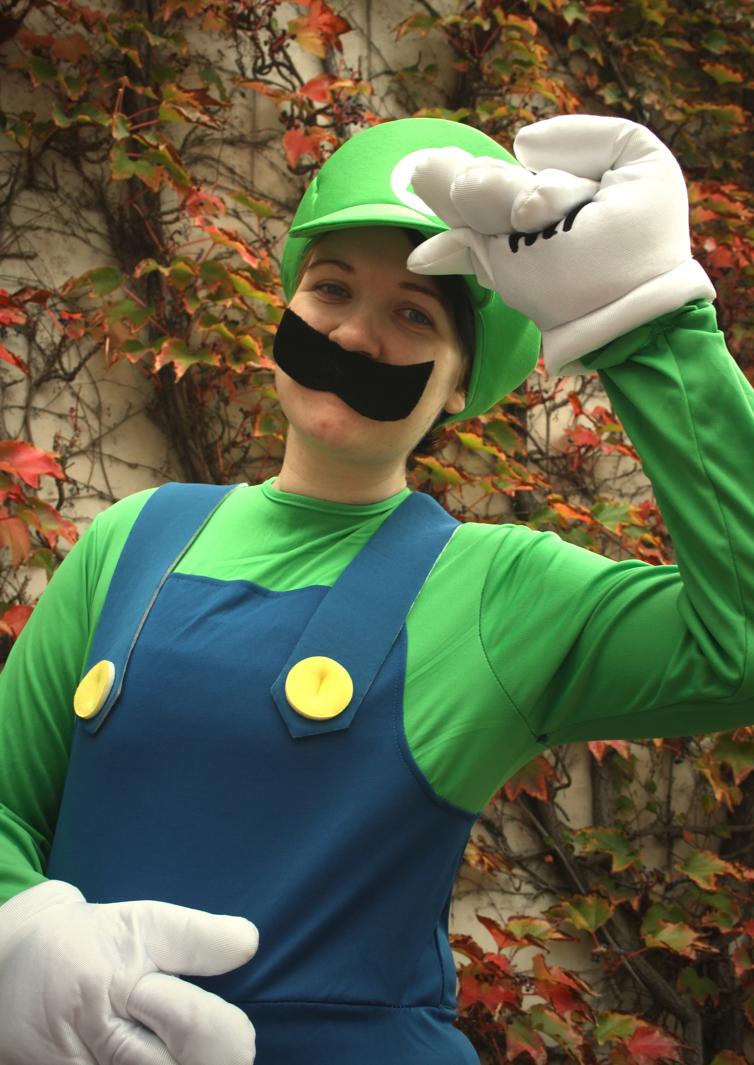 Cosplay-Cover: Luigi