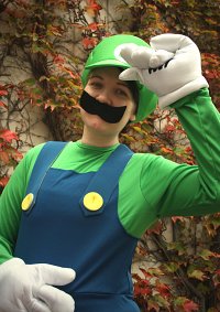 Cosplay-Cover: Luigi