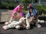 Cosplay-Cover: Felicia (pink)