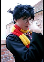 Cosplay-Cover: Harry Potter