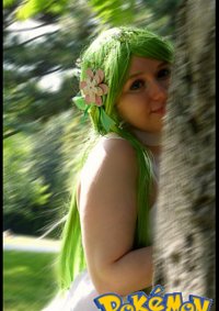 Cosplay-Cover: Shaymin