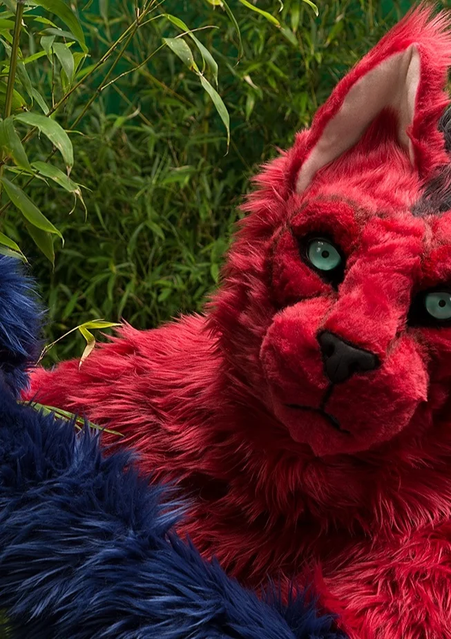 Cosplay-Cover: Percy 2.0(Neuauflage,Fullsuit) Der rote Kater