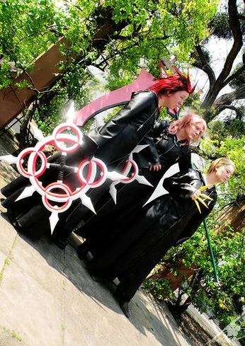 Cosplay-Cover: Marluxia 